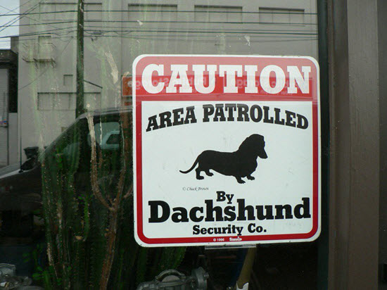 Read more about the article Is Your Local SEO Person Shell-Shocked, Gun-Shy, and TOO Afraid of Angering Google? How to Avoid the Phobias