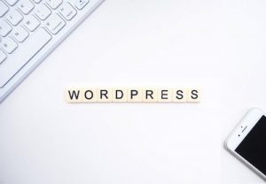 Read more about the article How to Upload a Google HTML Verification File to WordPress and Boost Your SEO