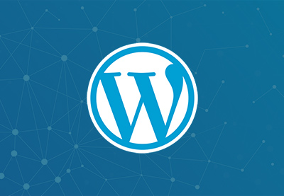 You are currently viewing How to Make a WordPress Website