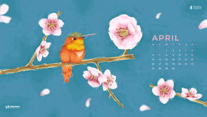 Read more about the article Stay Positive, Stay Creative (April 2020 Wallpapers Edition)