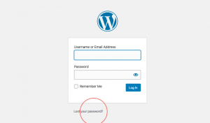 How to Change Your WordPress Admin Password