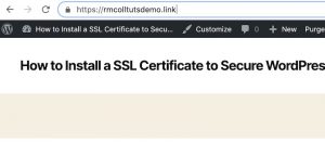 Read more about the article How to Install an SSL Certificate to Secure WordPress