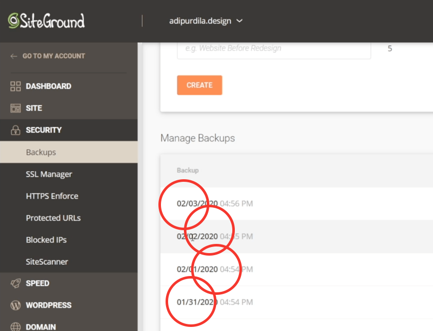 You are currently viewing How to Backup Your WordPress Site