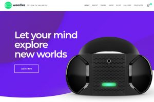 Read more about the article Top 25 Landing Page WordPress Themes for 2020 Websites