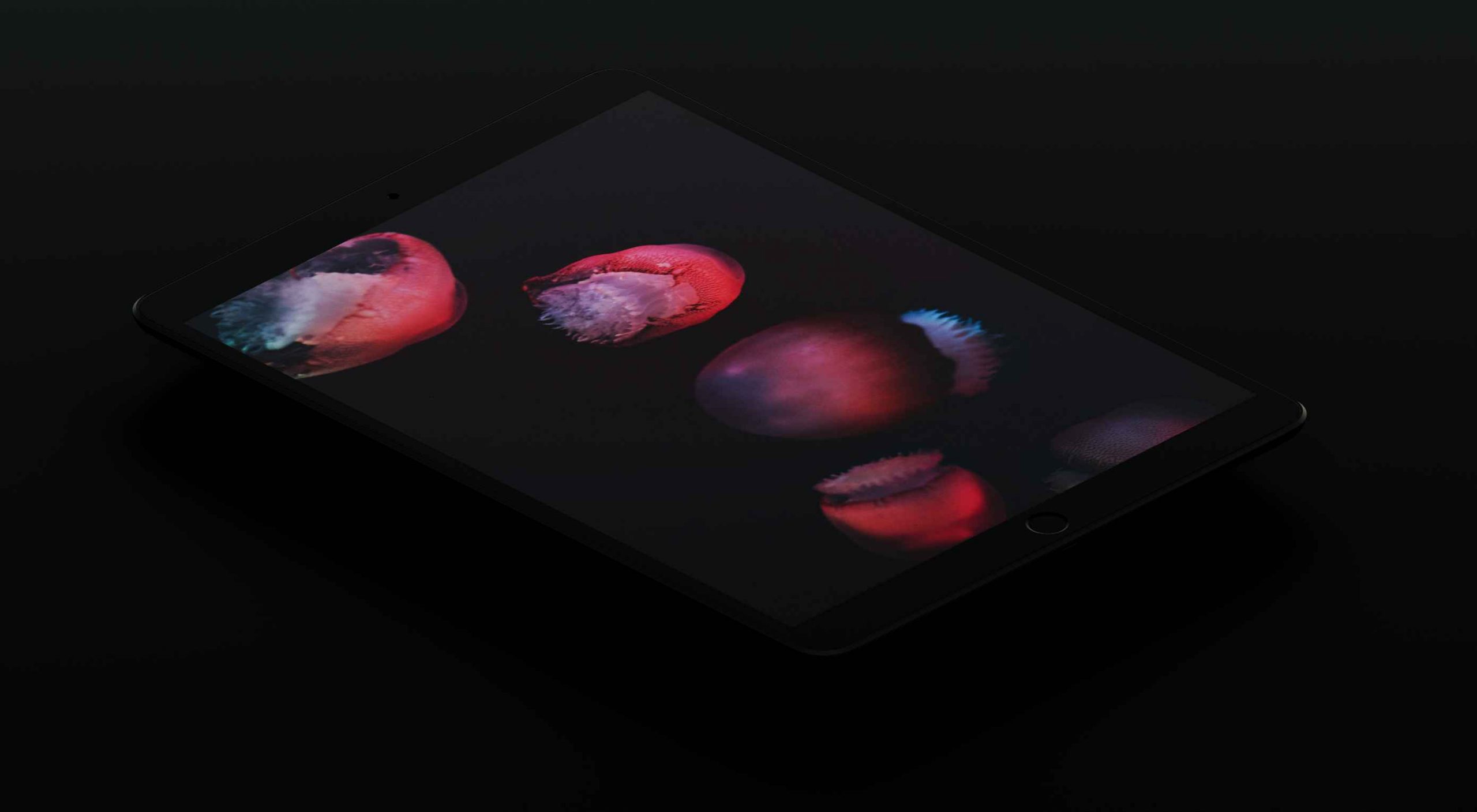 You are currently viewing Should Your Site Be Using Dark Mode?