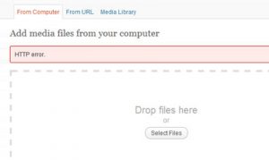 Read more about the article WordPress Troubleshooting: HTTP Error When Uploading Images