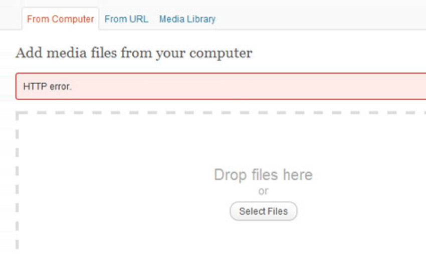 You are currently viewing WordPress Troubleshooting: HTTP Error When Uploading Images