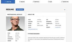 Read more about the article 23 Best HTML Resume Templates to Make Personal Profile CV Websites (2020)