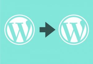 Read more about the article How to Clone a WordPress Site