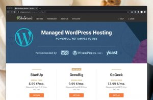 Read more about the article SiteGround WordPress Hosting Review 2020