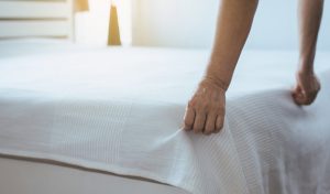 Read more about the article 30 Top Cleaning Services Company WordPress Themes to Download 2020