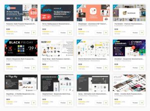 Read more about the article 30 Best eCommerce WordPress Themes for 2020